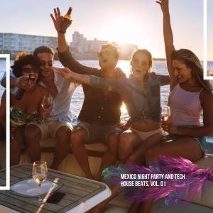 ดาวน์โหลดและฟังเพลง Chill Night beats (Tech House with Vocal Chop) พร้อมเนื้อเพลงจาก Diamond VX
