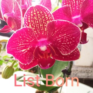 Listen to Kenanglah Aku song with lyrics from List Born