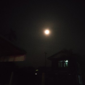 Dengarkan TAI SANG JUN (Explicit) lagu dari 8000 dengan lirik