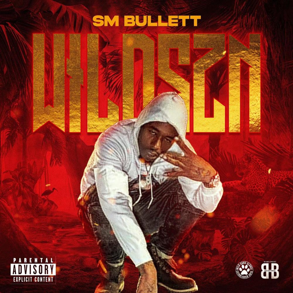 Hot Boys (feat. Army Carruth, Wildlifejaydot & Sosa Nostra) (Explicit)