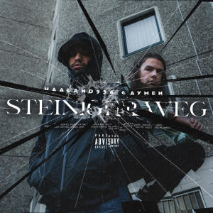 收聽Haaland936的Steiniger Weg (Explicit)歌詞歌曲