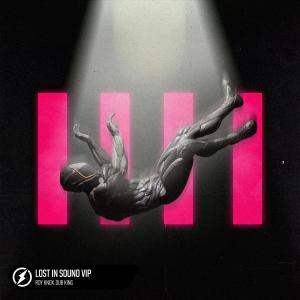ดาวน์โหลดและฟังเพลง Lost In Sound VIP พร้อมเนื้อเพลงจาก ROY KNOX