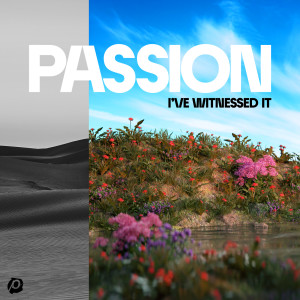 อัลบัม I've Witnessed It ศิลปิน Passion