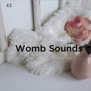 收聽White Noise Baby Sleep的子宮聲歌詞歌曲