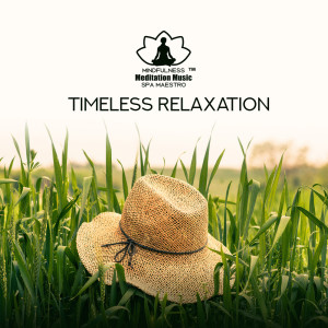 Dengarkan Relax & Sleep Well lagu dari Mindfulness Meditation Music Spa Maestro dengan lirik