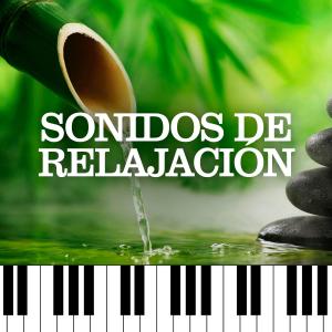 Piano Suave Relajante的專輯Sonidos De Relajacion