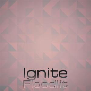 ดาวน์โหลดและฟังเพลง Ignite Floodlit พร้อมเนื้อเพลงจาก Joao Lhan