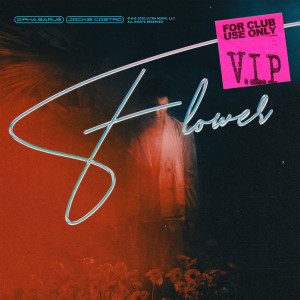 ดาวน์โหลดและฟังเพลง Flower (VIP Remix) พร้อมเนื้อเพลงจาก Dipha Barus