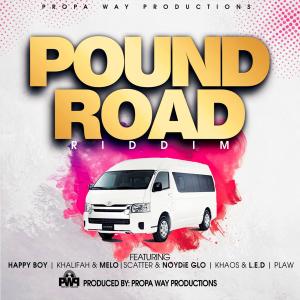 Propa Way Production的專輯Pound Road Riddim
