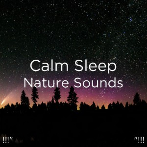 Listen to Zen Nature Sounds song with lyrics from Deep Sleep