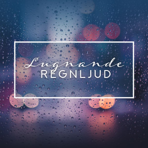 ดาวน์โหลดและฟังเพลง Stilla regn พร้อมเนื้อเพลงจาก Lugn Musik Atmosfär