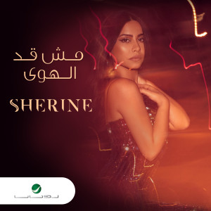 收聽Sherine的مش قد الهوى歌詞歌曲