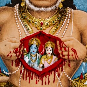 The Human Experience的專輯I’m Going Back to India