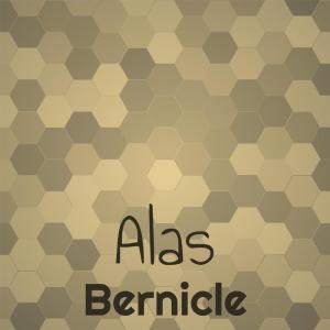 Album Alas Bernicle oleh Various Artists