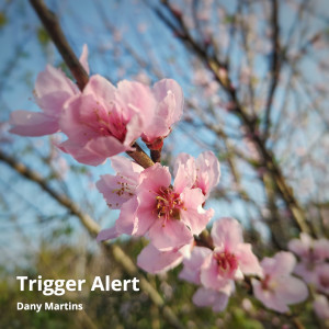 ดาวน์โหลดและฟังเพลง Trigger Alert (Stúdio7) พร้อมเนื้อเพลงจาก Dany Martins