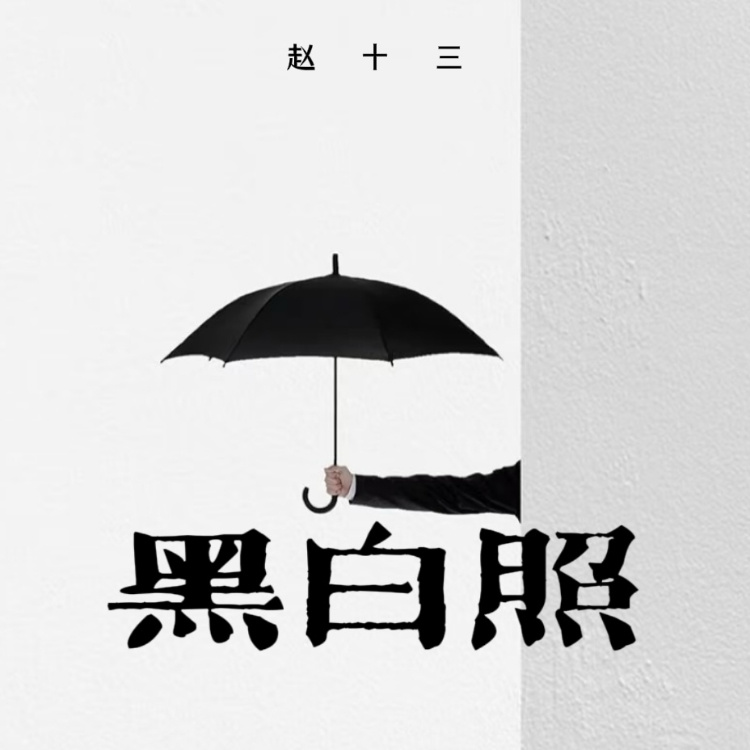 黑白照 (DJLHN版)