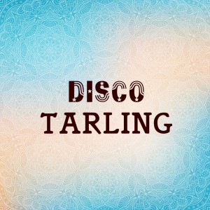 Album Disco Tarling from Endang Wijayanti