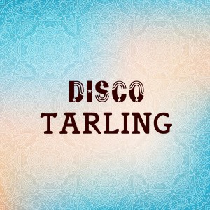 Listen to Tanggul Kali Blanakan song with lyrics from Endang Wijayanti