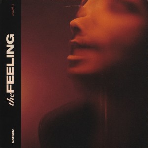 收聽Candid的Too Much Or Not Enough?歌詞歌曲