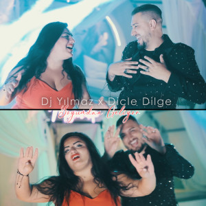 Listen to Soyumdan Gelir song with lyrics from Dj Yılmaz