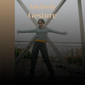 Album Anybody Gesture from 