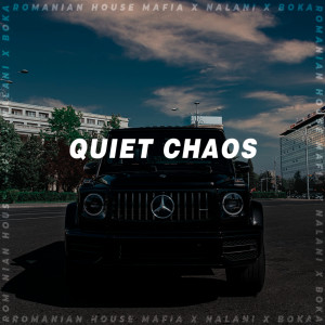 Album Quiet Chaos from Romanian House Mafia