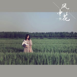 收聽一夢的風中花歌詞歌曲