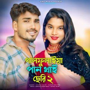 Listen to Galfulaiya paan khai seri 2 song with lyrics from Sariful Islam