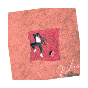 Listen to Vibra (Explicit) song with lyrics from BrisB