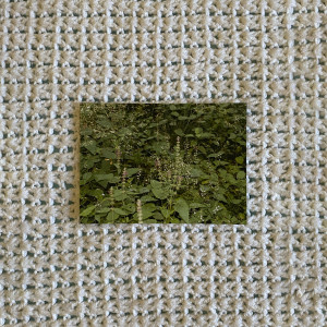 收聽Witto的El Desván V2歌詞歌曲