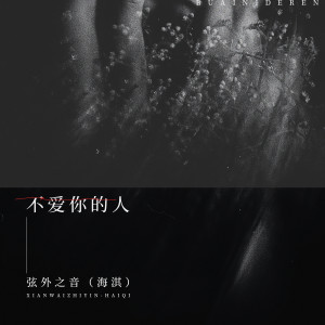 Album 不爱你的人 from 弦外之音
