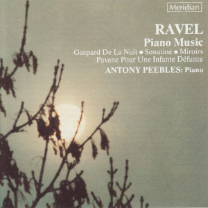 收聽Antony Peebles的Miroirs, M.43: III. Une barque sur l'océan歌詞歌曲