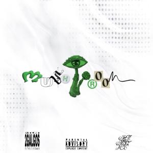 收聽Paul´Hiver的mush-room (Explicit)歌詞歌曲