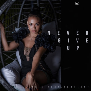 Album Never give up from 