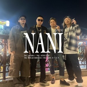 Album NANI (feat. chanpuri, absabs & DJYUNO) from 