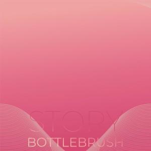 Various的专辑Story Bottlebrush