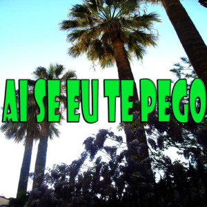 收聽Miguel的Ai Se Eu Te Pego歌詞歌曲