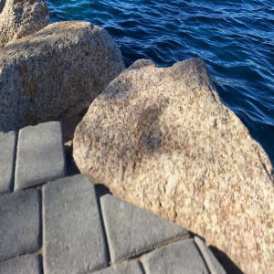 ดาวน์โหลดและฟังเพลง To do (feat. Mr. Shadow|Explicit) พร้อมเนื้อเพลงจาก BIGGCHAC