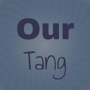 Various Artists的專輯Our Tang