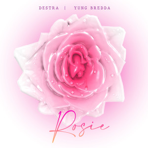 อัลบัม Rosie ศิลปิน Destra