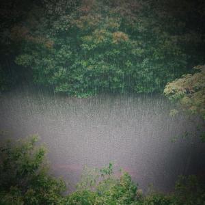 อัลบัม Peaceful Rain and Nature Sounds for Massage Therapy and Relaxation ศิลปิน Rain Sounds Nature Collection