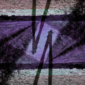 Album Shadow from The Mammoths