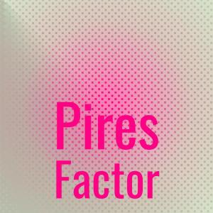 Various Artists的專輯Pires Factor