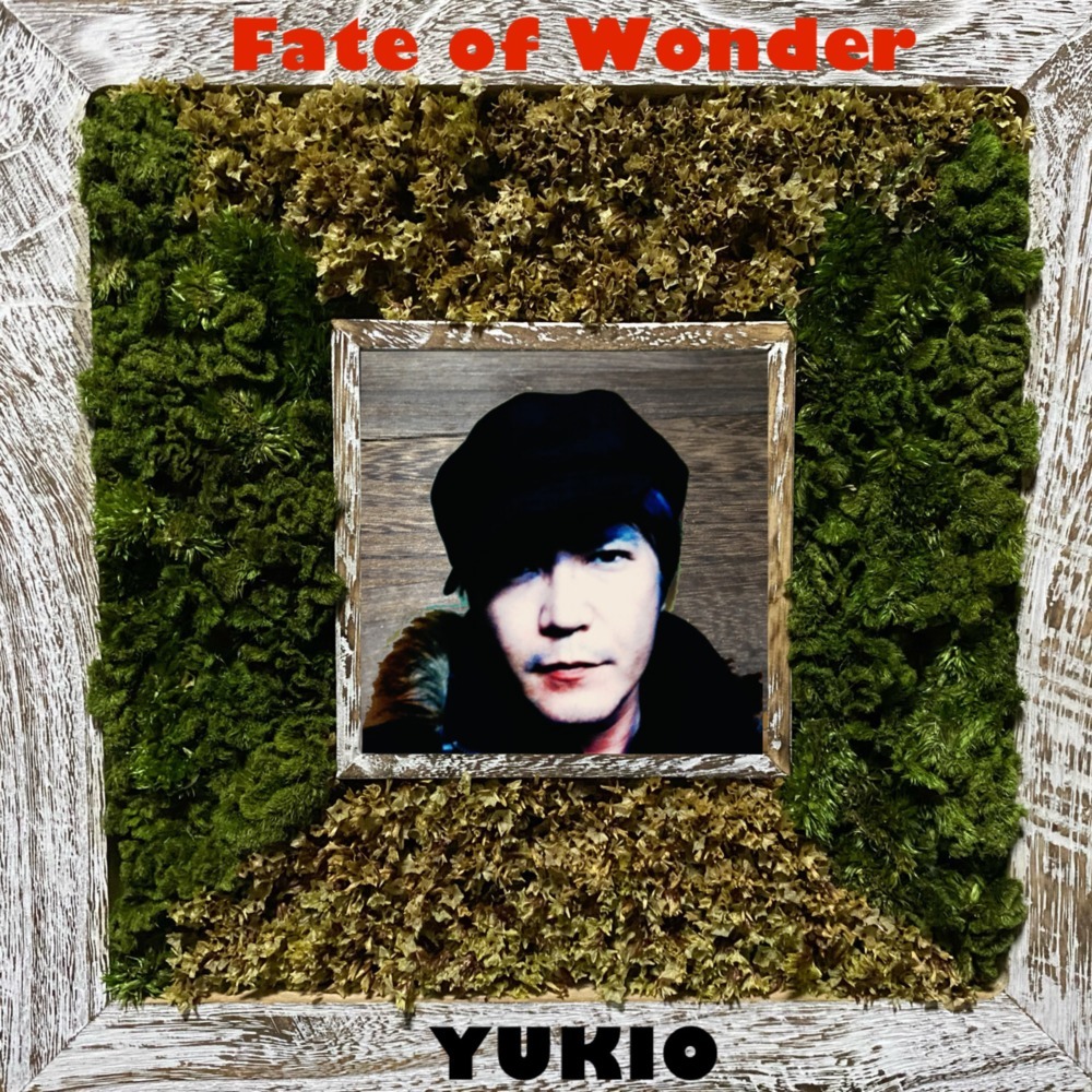 Fate of wonder (almost completed)