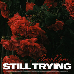 Listen to Still Trying (其他) song with lyrics from JOEY DJIA