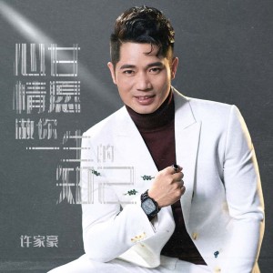 Listen to 心甘情愿做你一生的知己 (伴奏) song with lyrics from 许家豪