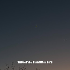 ดาวน์โหลดและฟังเพลง the little things in life พร้อมเนื้อเพลงจาก Calm Chapter