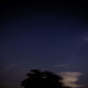 Listen to Wonder song with lyrics from R3YAN
