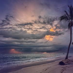 Listen to Waves in a Tropical Storm on a Beach song with lyrics from Ocean Waves for Sleep