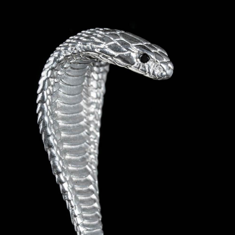 cobra (Explicit)
